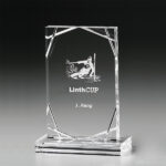 Diamond Square Award – Bild 2